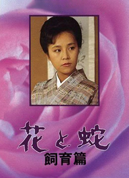 愛上琉璃苣