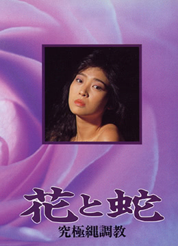 小小視頻在線觀看免費(fèi)資源